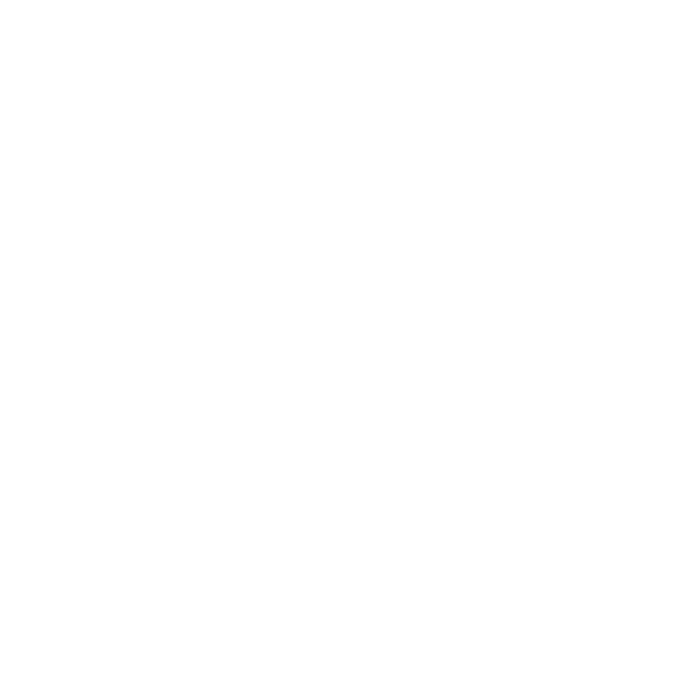 Logo Raphael Macho